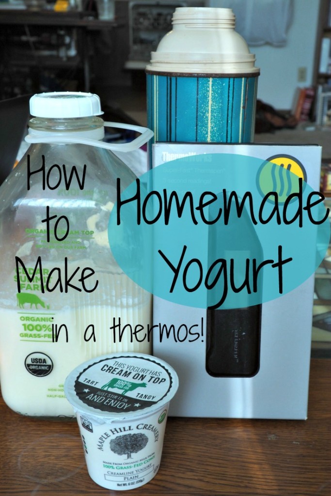 How to Make Yogurt without a Yogurt Maker
