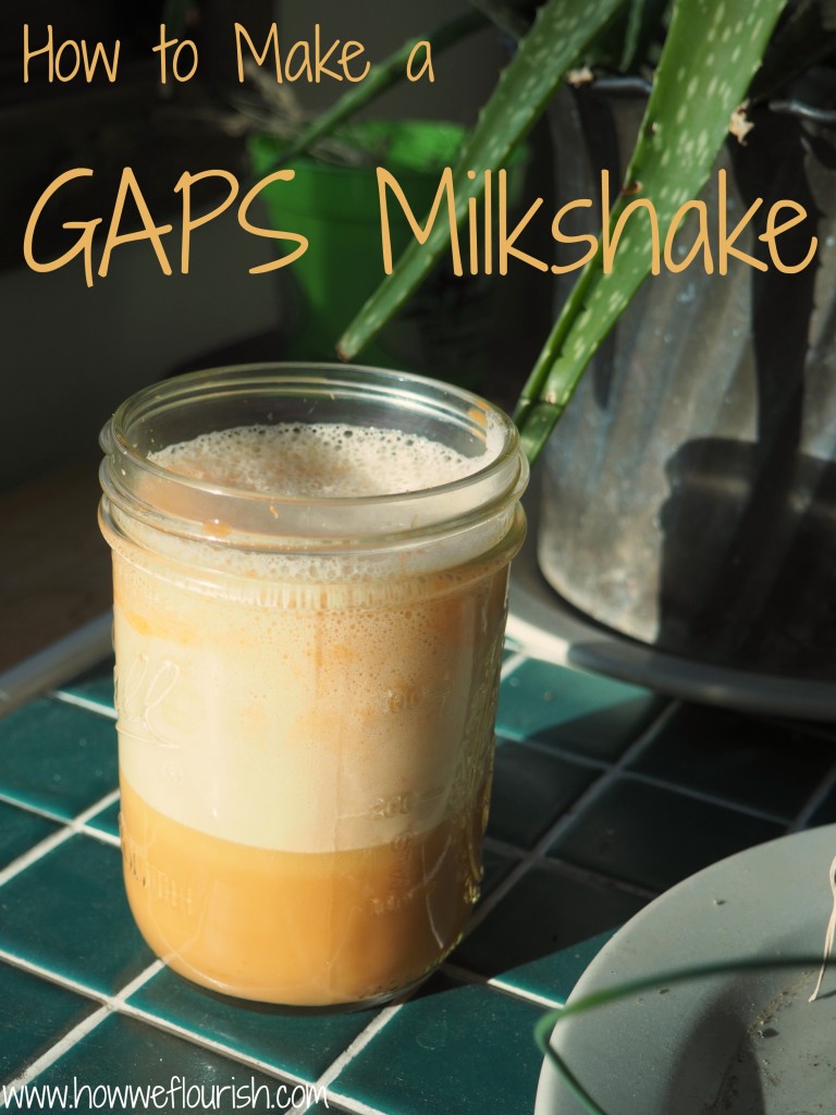 GAPS Milkshake Recipe