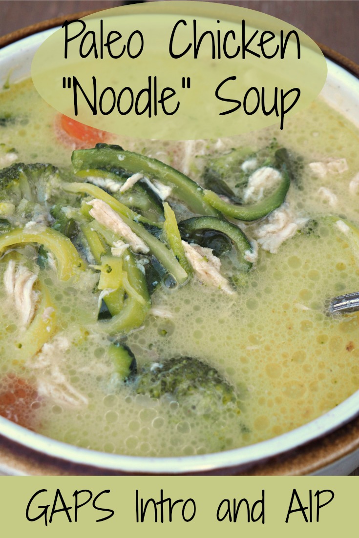 Paleo Chicken Noodle Soup